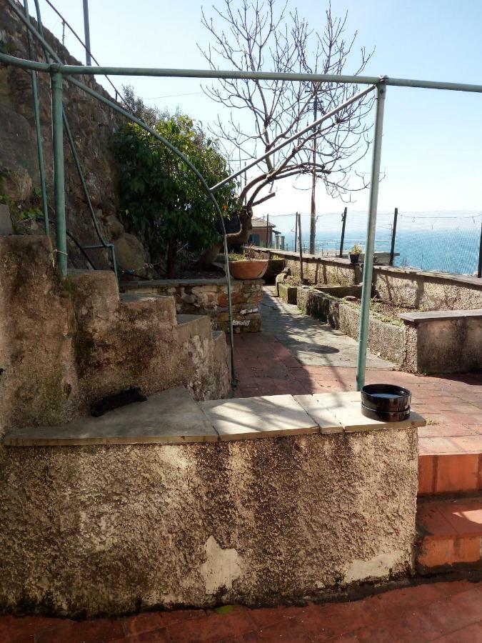 Апартаменты Casa Picasso Генуя Экстерьер фото